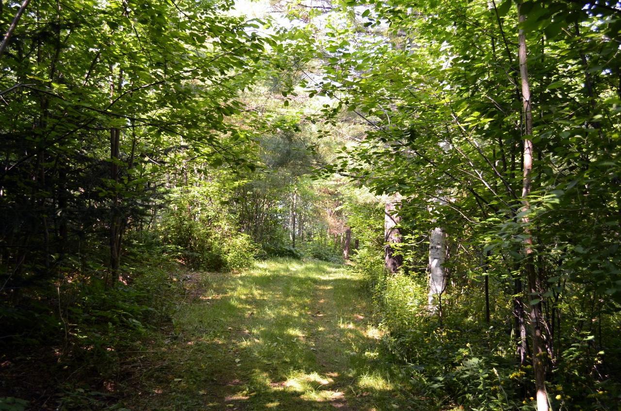 Lodge Still Point Deep Brook
