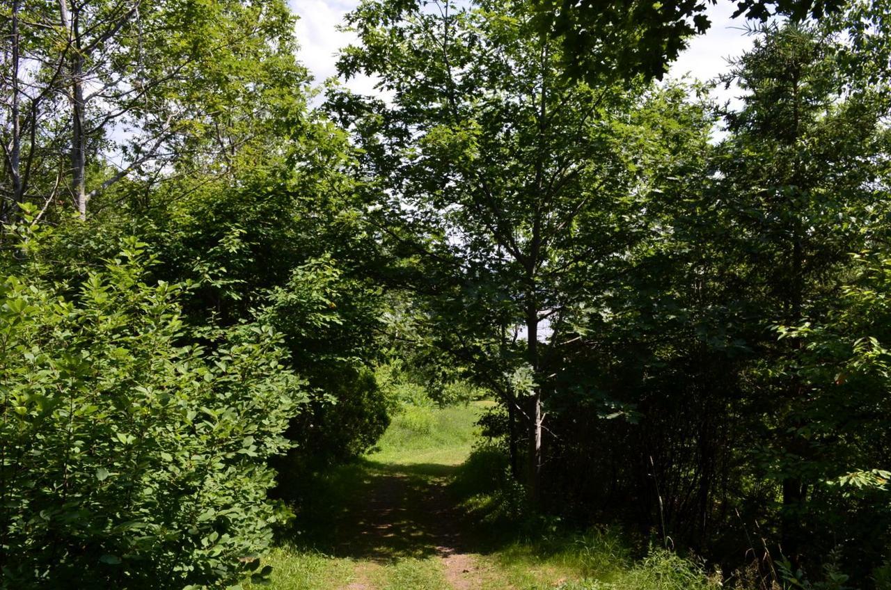 Still Point * Deep Brook