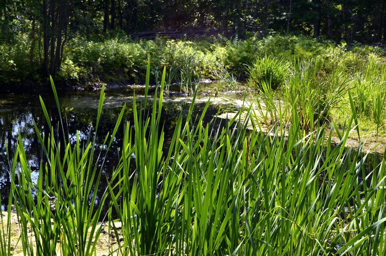 Lodge Still Point Deep Brook